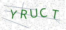 Bot Check