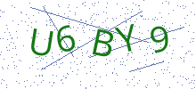 Bot Check