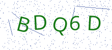 Bot Check