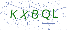 Bot Check