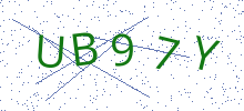 Bot Check