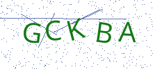 Bot Check