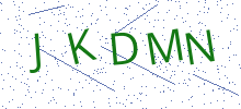 Bot Check