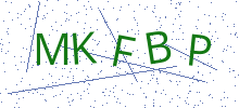 Bot Check
