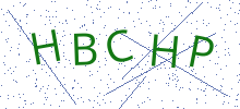 Bot Check