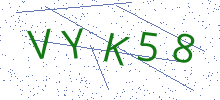 Bot Check