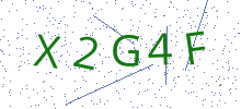 Bot Check