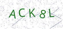 Bot Check