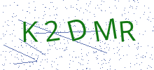 Bot Check