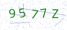 Bot Check