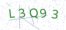 Bot Check