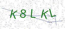 Bot Check