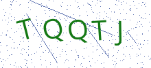 Bot Check