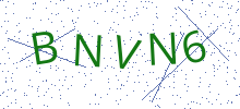 Bot Check
