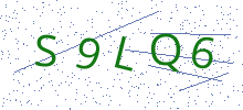 Bot Check