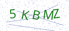 Bot Check