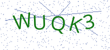 Bot Check