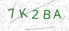 Bot Check