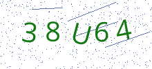 Bot Check