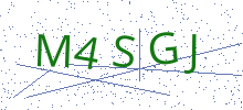 Bot Check