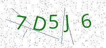 Bot Check