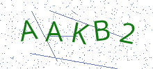 Bot Check