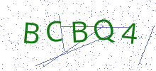 Bot Check