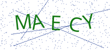 Bot Check