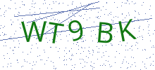 Bot Check
