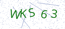Bot Check