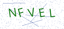 Bot Check