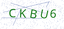 Bot Check