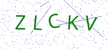 Bot Check