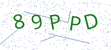 Bot Check