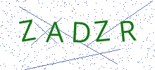 Bot Check