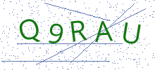 Bot Check