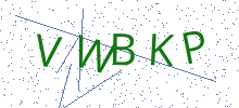 Bot Check