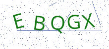 Bot Check