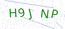 Bot Check