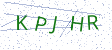 Bot Check